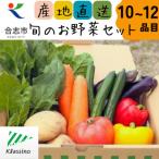 の旬のお野菜セット10~12品目