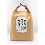 ふるさと納税 岡崎市 その他米　ふるさと納税 岡崎市 ぬかたのミネアサヒ【5kg】
