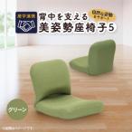 産学連携 背中を支える美姿勢座椅子5 グリーン