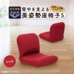 産学連携 背中を支える美姿勢座椅子5 レッド_
