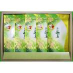 房総みどり 煎茶 5本セット
