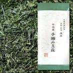 森半 宇治産 手摘み玉露 80g