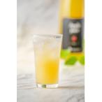 テレビで紹介 白根りんご農園の100%りんごジュース 720ml×3…