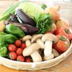 和知地区で栽培された旬の地場野菜おまかせ詰め合わせ