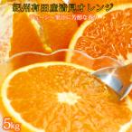 とにかくジューシー清見オレンジ 5kg