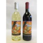 ふるさと納税 山梨県 山梨の地ワイン2本セット(シャトレーゼ　赤白)