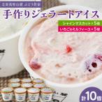 信州なかの手作りジェラート2種セット 10個入り