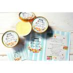 ふるさと納税 南種子町 種子島の恵みジェラート12個セット