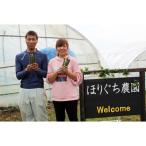 fu.... налог красный flat город [ предшествующий прием 2026 год производство ].... сельское хозяйство .. утро .. весна зеленый aspala1kg