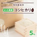 産コシヒカリ 能登米 令和7年産 精米5kg