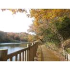〈1組 〉けいはんな記念公園ガイド -季節の里山と生き物-