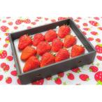 ふるさと納税 長瀞町 埼玉県長瀞町産　厳選大粒いちご(あまりん)