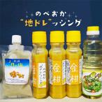 のべおか”地ドレッシング”金柑と塩こうじセット