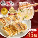 ふるさと納税 太田市 爆じゅう餃子　45個入り