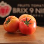 fu.... налог Oota город [. мир 8 год 3 месяц отправка начало ] сахар раз 9 раз и больше! красный драгоценнный камень. подобный фрукты помидор желтохвост ksna in помидор 1 кейс 