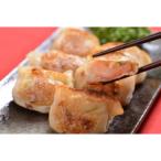 ふるさと納税 帯広市 北の匠 手作り餃子4種【計75個】