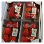 ふるさと納税 沼田市 いちご 約250g×4パック【果実の里原田農園】