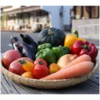 季節の野菜セット 5~10種