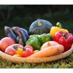 季節の野菜セット 10~15種