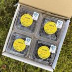 fu.... налог Цу мир . блок [2026 год 7 месяц отправка ] утро ..[ сырой голубика ] набор (1kg)[ культивирование период средний пестициды * химия удобрение не использовался ]