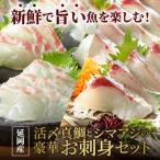魚貝類 鯛 冷蔵 延岡産活〆真鯛とシマアジの豪華お刺身セッ…