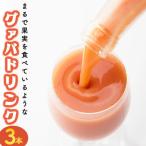 宮崎果汁 グァバドリンク3本セット