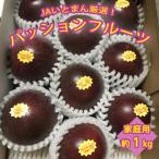 JAおきなわ糸満支店で厳選した パッションフルーツ