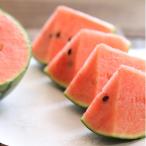 fu.... налог Oota город ...gyu!..... автомобиль li автомобиль li еда чувство. ..... арбуз 2 шар (. мир 8 год 5 месяц ~6 месяц отправка )