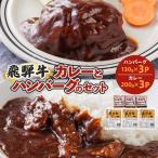 飛騨牛入り製品詰め合わせ カレーとハンバーグ