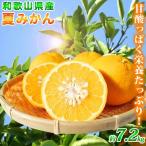 夏 みかん 7.2kg