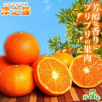 津之輝 つのかがやき 5kg