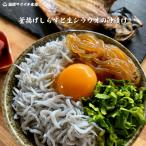 生シラウオ沖漬けと釜揚げシラスセット