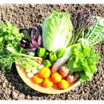 旬のお野菜 果物セット