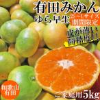 有田みかん 約5kg