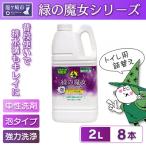 この季節の必需品 環境配慮型洗剤 緑の魔女泡タイプトイレ2…