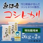 三角おにぎり米 1kg×10個