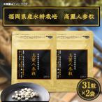 産水耕栽培 高麗人参粒 31粒入×2袋セット