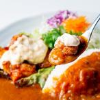 観光大使ルウ王子の宮崎チキン南蛮カレーセット 5食入り