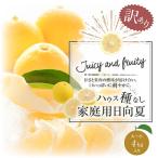 ショッピングふるさと納税 訳あり ふるさと納税 宮崎市 ハウス種なし日向夏【訳あり】家庭用　サイズ混合　4kg