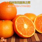 津之輝 つのかがやき 5kg