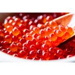 ふるさと納税 網走市 オホーツク産いくら醤油漬け(600g)