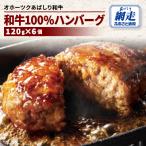 ふるさと納税 網走市 【オホーツクあばしり和牛】和牛100%ハンバーグ 120g×6個<網走産>