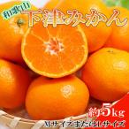 和歌山下津みかん約5kg