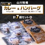 山川牧場育ちのジャー黒カレー&ハンバーグAセット 計7個