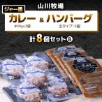 山川牧場育ちのジャー黒カレー&ハンバーグBセット 計8個