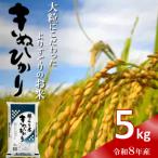 ★令和8年産 新米★ きぬむすめ 精米 5kg