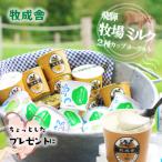 飛騨の牛乳屋こだわり ヨーグルト20個セット