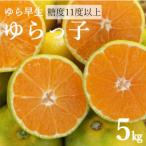 糖度11度以上 ゆら早生みかん ゆらっ子 5kg