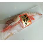 特大 天然海老 有頭 2尾