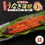 うなぎ 蒲焼 5尾